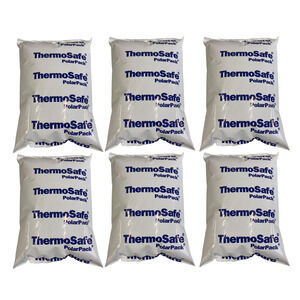 Thermosafe PP24 PolarPack Refrigerant Gel Pack 8 x 5.5 x 1.25 24oz (6 Pack)